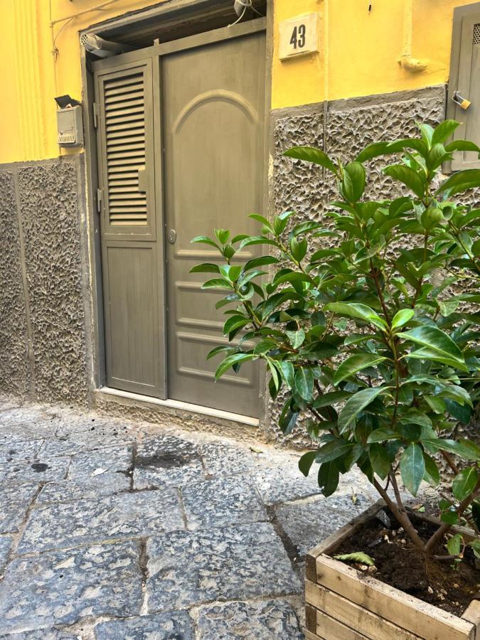Casa Vacanza Rosa نابولي المظهر الخارجي الصورة
