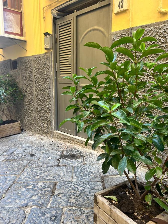 Casa Vacanza Rosa نابولي المظهر الخارجي الصورة